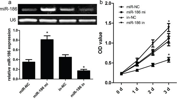 Effect of miR-186 on HGC-27 cell proliferation.