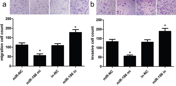 Overexpression of miR-186 could inhibit HGC-27 cell invasion and migration.