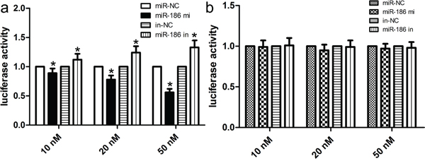 miR-186 was a direct transcriptional target of Twist1 in HGC-27 cells.