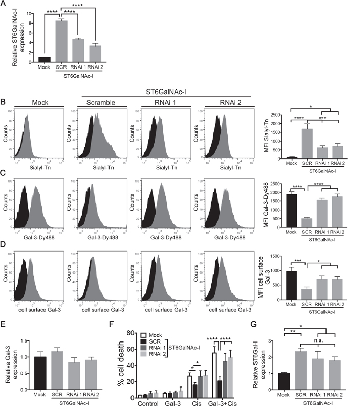 ST6GalNAc-I knockdown increases galectin-3-binding sites and cisplatin-induced cell death.