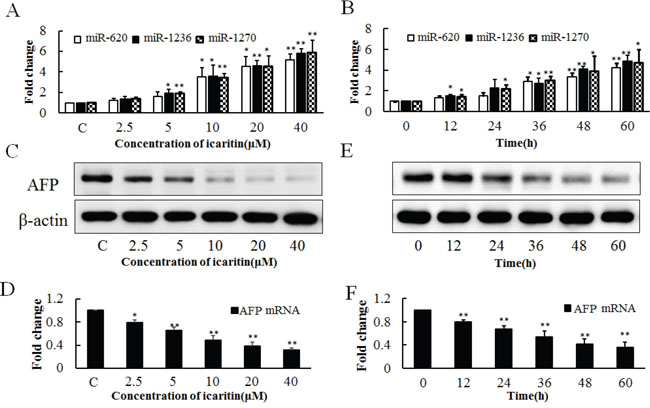 Effects of icaritin on miR-620, miR-1236, miR-1270 and AFP expression in PLC/PRF/5 cells.