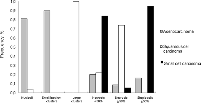 Frequency of cytomorphological features in different lung cancer histotypes.