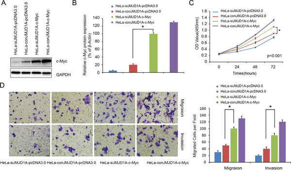 Overexpression of c-Myc rescues the loss of JMJD1A-mediated repression activity in cervical cancer.