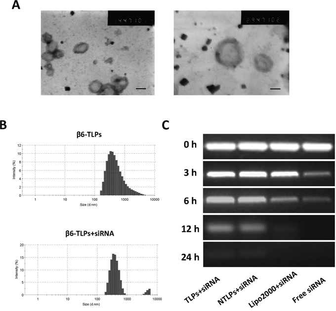 Figure 1: