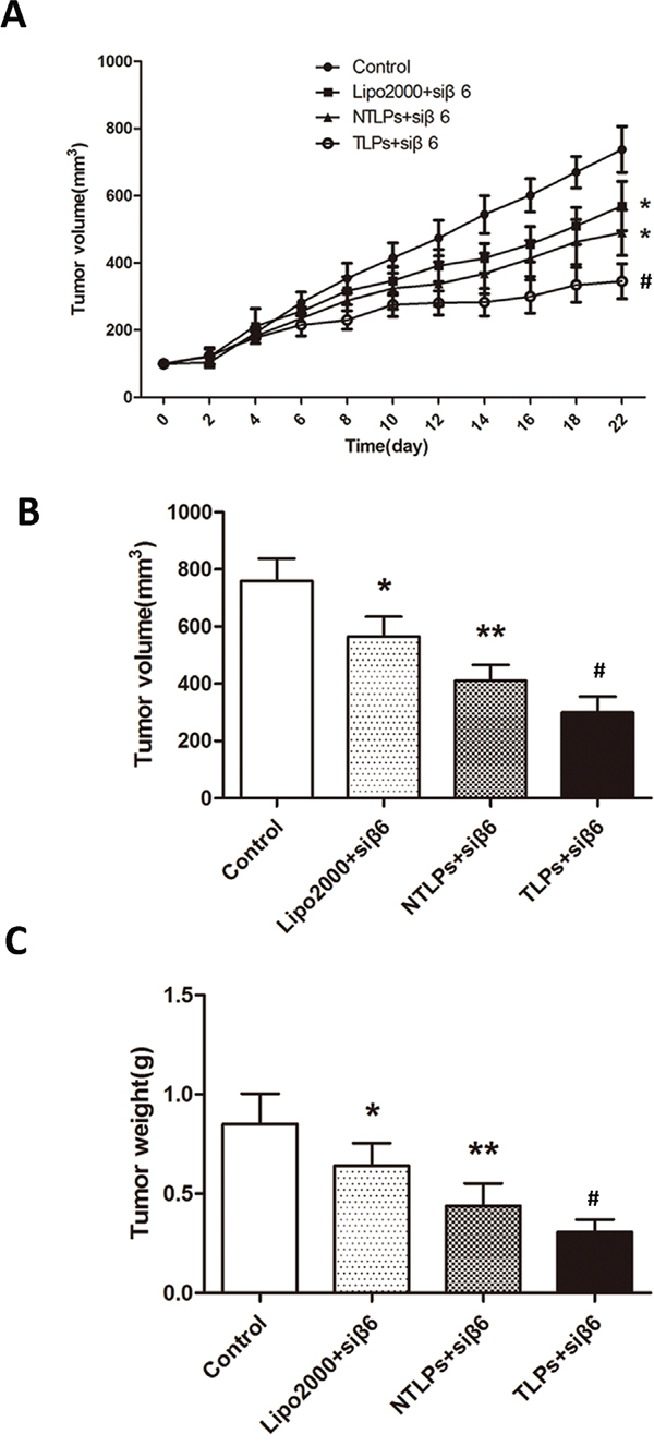 In vivo anti-tumor study of liposomes in HT-29 tumor-bearing nude mice after intratumor injection with &#x03B2;6-siRNA loaded Lipo2000, NTLPs and TLPs. The dosage &#x03B2;6-siRNA was 0.4 mg/kg.