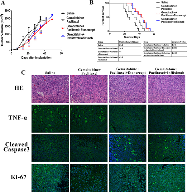 Combination of anti-TNF-&#x03B1; treatments with chemotherapy resulted in better anti-cancer responses in PDAC xenograft mouse model.
