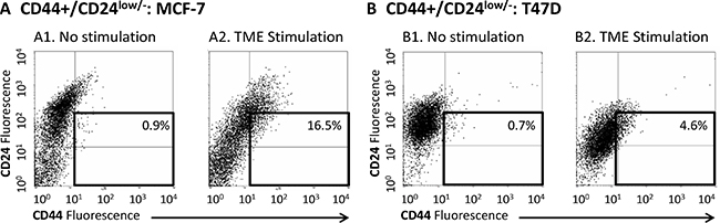 TME Stimulation enriches the CD44+/CD24low/- sub-population in MCF-7 and T47D Luminal-A breast tumor cells.