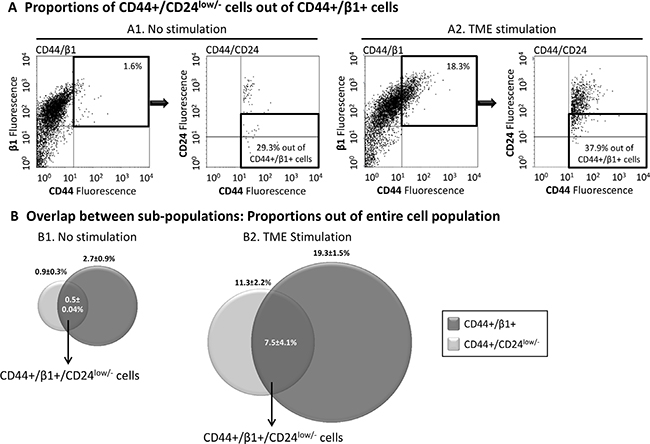 The TME-enriched CD44+/&#x03B2;1+ and CD44+/CD24low/- sub-populations are partly overlapping.