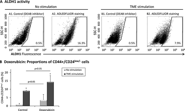 TME stimulation does not enrich for ALDH1+ cells but selects for doxorubicin-resistant CD44+/CD24low/- cells.