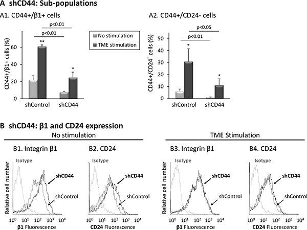 CD44 knock-down reduces the proportions of the TME-enriched CD44+/&#x03B2;1+ and CD44+/CD24- sub-populations.