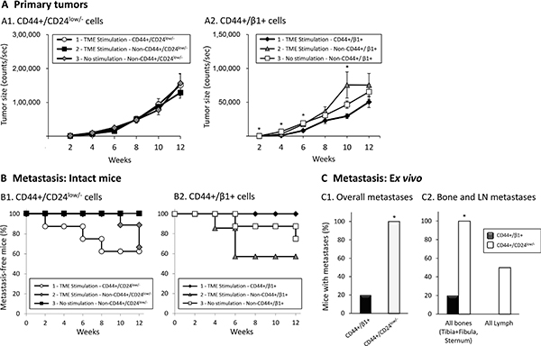 Primary tumors generated following the inoculation of TME-stimulated CD44+/CD24low/&#x2212; and CD44+/&#x03B2;1+ cells have comparable sizes, but only CD44+/CD24low/- cells promote metastasis formation.