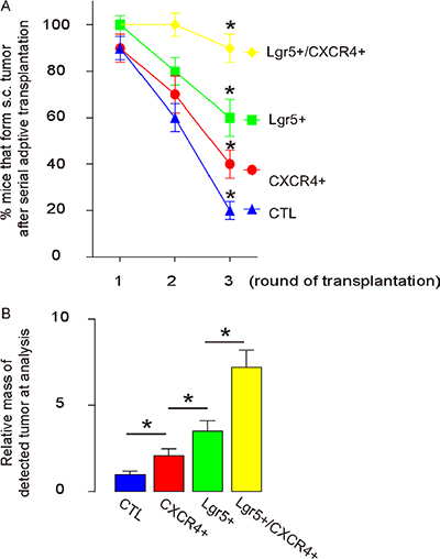 Lgr5+/CXCR4+ cells induce the highest occurrence of tumor formation in serial adoptive transplantation.