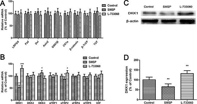 The effects of NK-1R activation (using SMSP) and inhibition (using L-733060) on Wnt inhibitor expression.