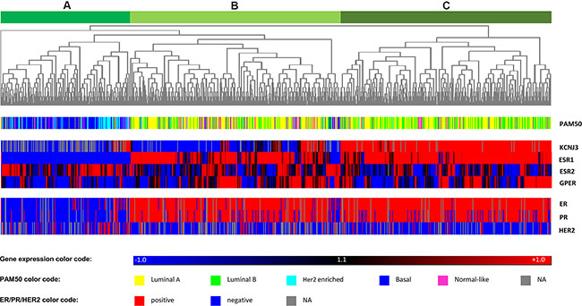 Heatmap of hierarchical cluster analysis.