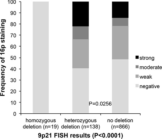 Association between 9p21 deletion (FISH) and p16 expression (IHC).