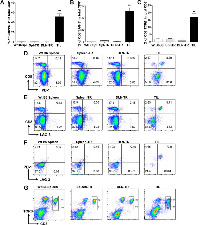 Co-expression of PD-1 and LAG-3 and downregulation of TCR&#x03B2; in CD8+ TILs.