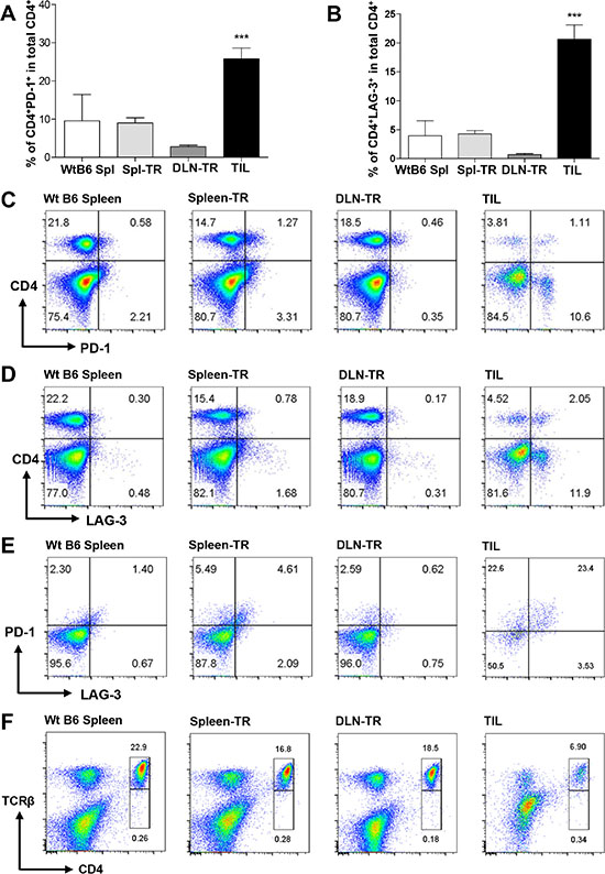 CD4+ TILs showed increased expression of PD-1 and LAG-3 but no change in TCR&#x03B2; expression.
