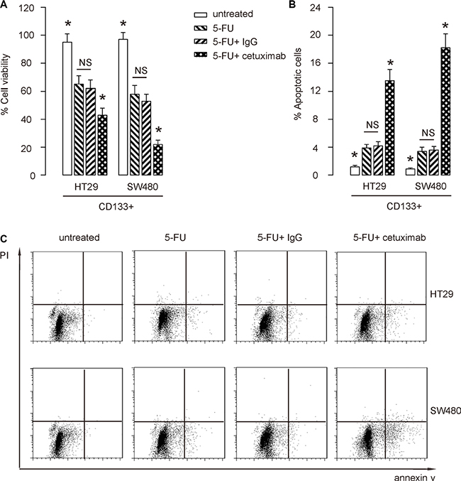 EGFR inhibition increases 5-FU-induced apoptotic death in CSC-like CRC cells.