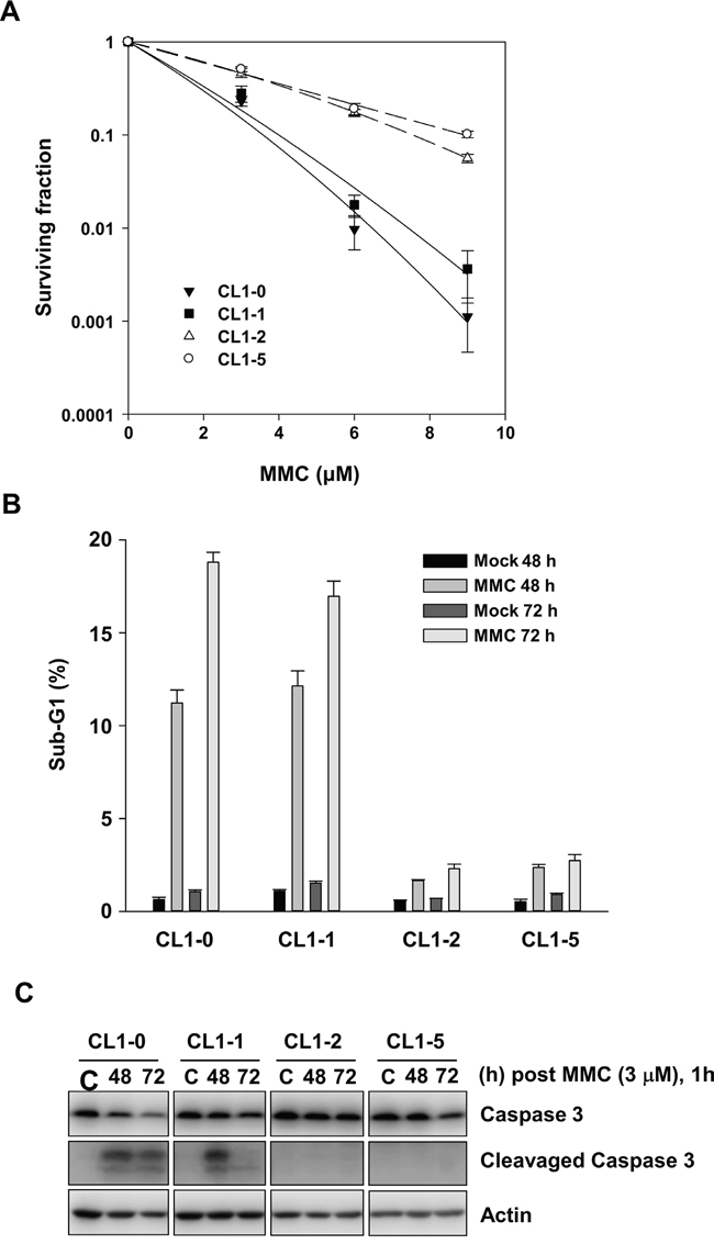 The effects of MMC on CL1-0, CL1-1, CL1-2, and CL1-5 cells.
