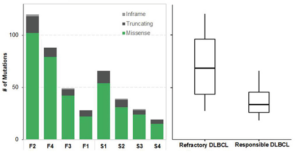 Summary of somatic single nucleotide variants (SNVs).