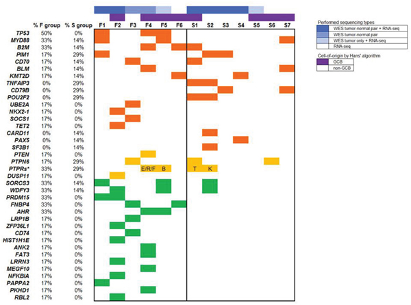 Mutation distribution.