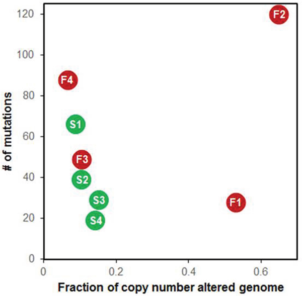 Relationship of somatic single nucleotide variants (SNVs) and copy number alterations.