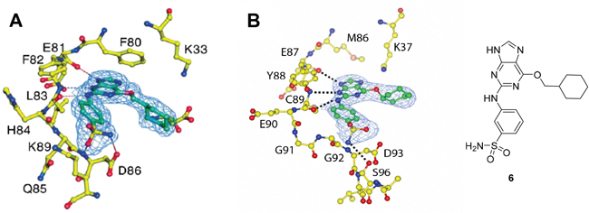 Figure 3: