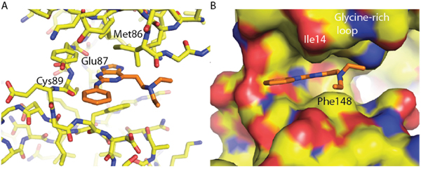 Crystal structures of compound 71 in complex with Nek2.