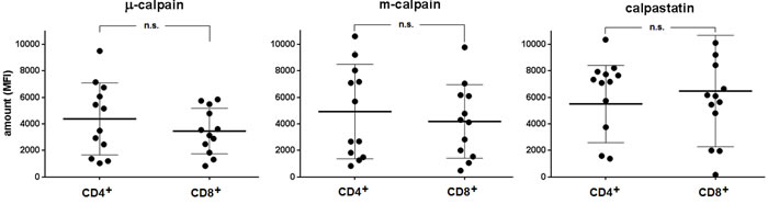 Similar relative amounts of &micro;- and m-calpain in resting CD4