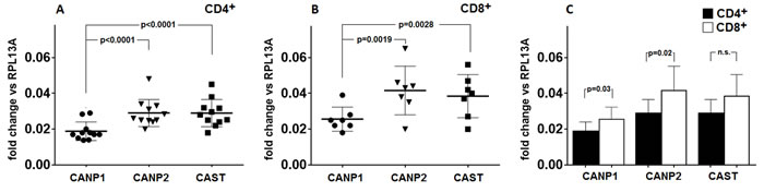 Level of transcription of CANP1 (&micro;-calpain) gene in resting CD4