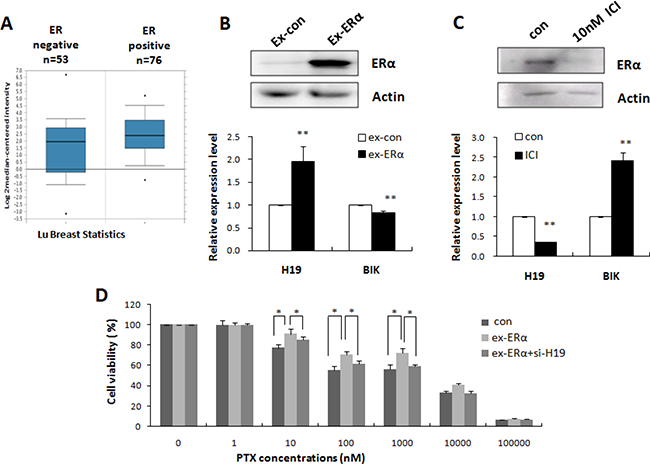 H19 mediated ER&#x03B1;-induced PTX resistance in breast cancer.