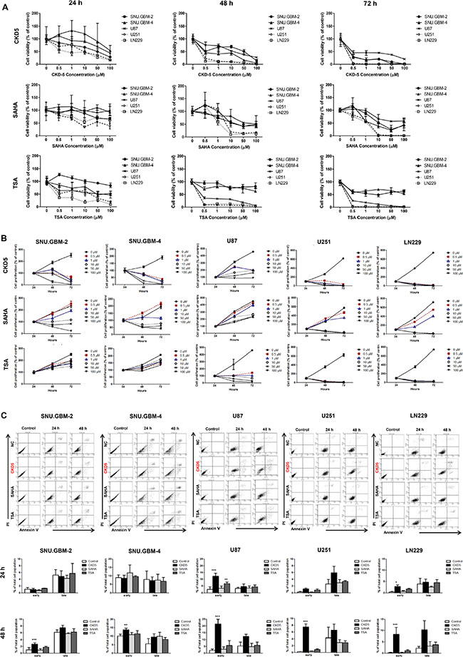 Cell viability, proliferation and apoptosis analyses.