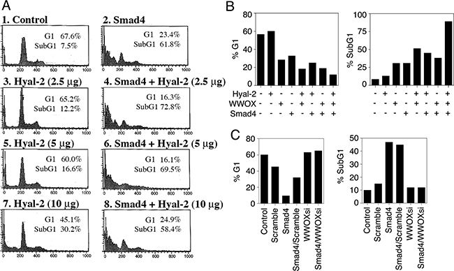 Hyal-2, WWOX and Smad4 synergistically induce apoptosis.