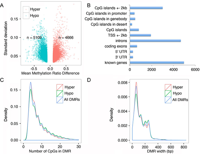 FQI1 treatment triggers alteration of genome wide DNA methylation.