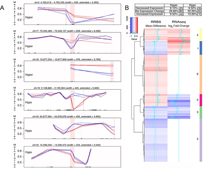 Correlation of differential DNA methylation and altered gene expression with FQI1 treatment.