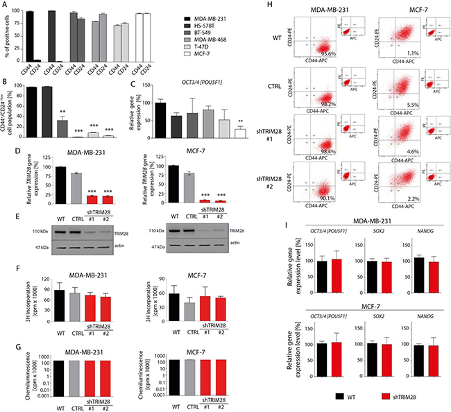 TRIM28 knockdown does not affect breast cancer cell proliferation, cell viability and the percentage of CD44&#x002B;/CD24-/low breast cancer stem cell population in vitro.
