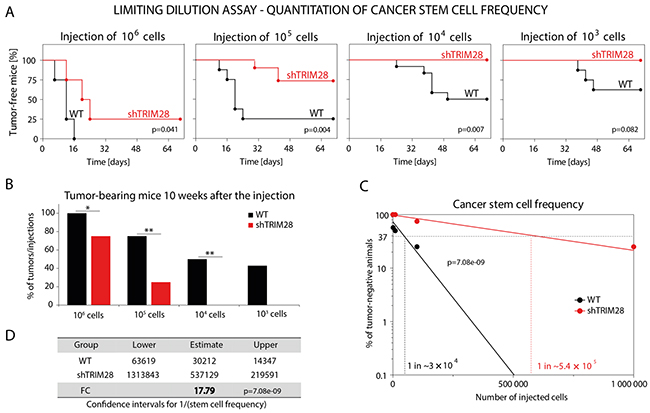 TRIM28 gene depletion reduces the number of cancer stem cells in MDA-MB-231 breast cancer xenografts.