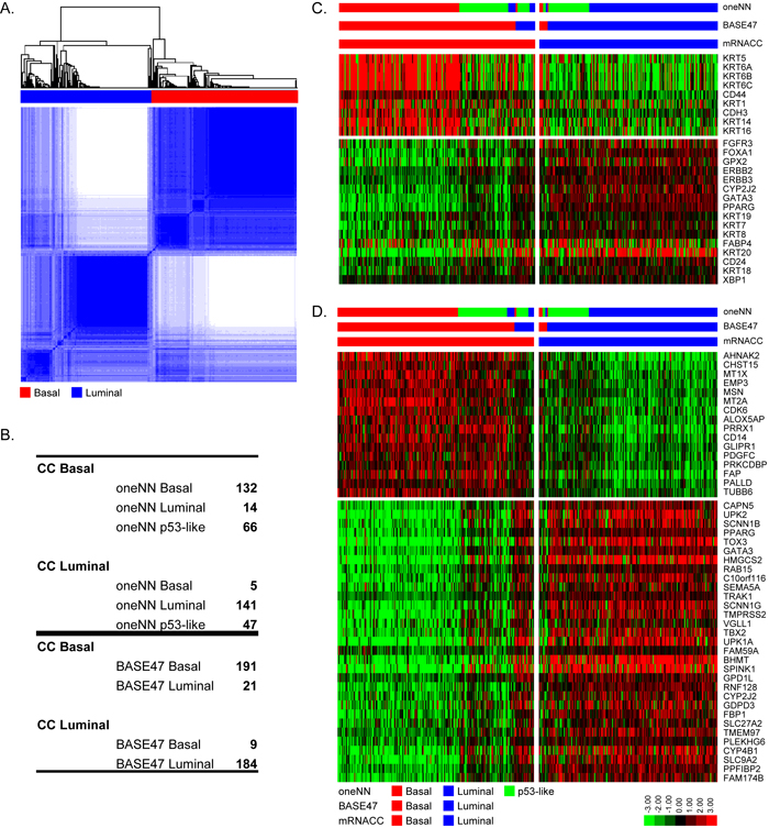 Validation of the basal and luminal subtypes.