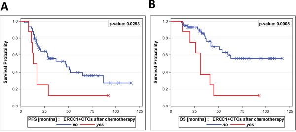 Prognostic relevance of ERCC1+CTCs after chemotherapy.