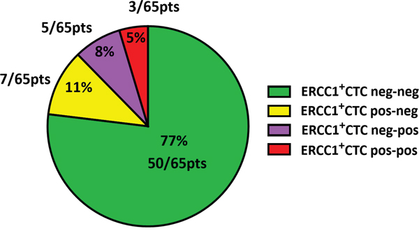 Dynamics of ERCC1+CTCs in the course of platinum-based chemotherapy.