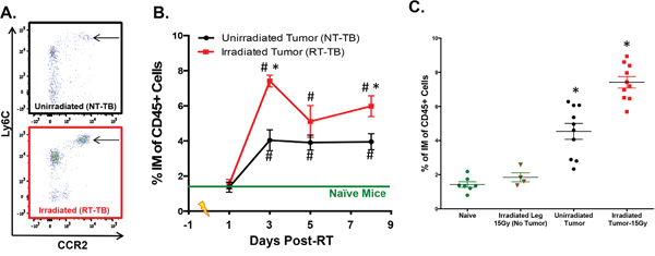 Radiotherapy increases peripheral blood IM.