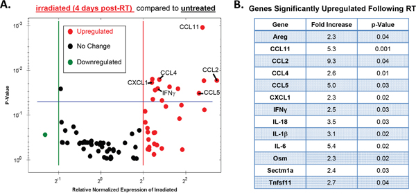 Radiotherapy modulates various intratumoral cytokines and chemokines.