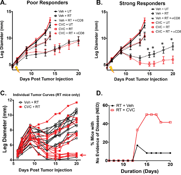 Dual blockade of CCR2/CCR5 (CVC) improves RT efficacy in radioresponsive tumors.