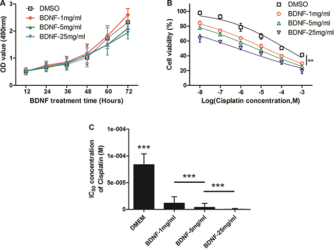 BDNF increased the chemosensitivity of NCI-H69 cells.