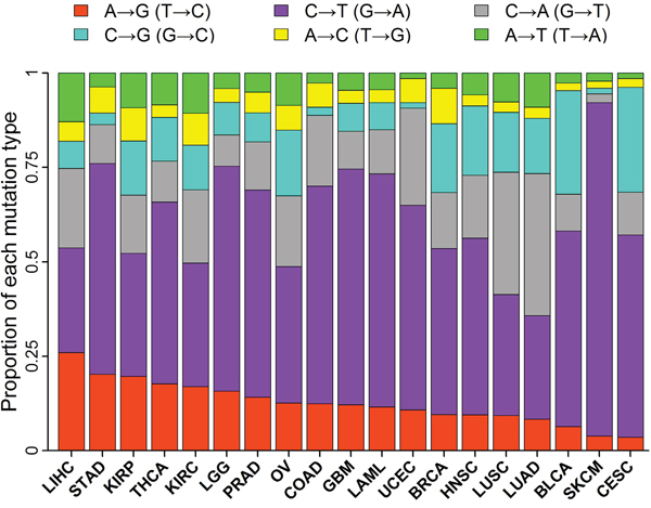 Proportion of each mutation type in 19 tumor types.