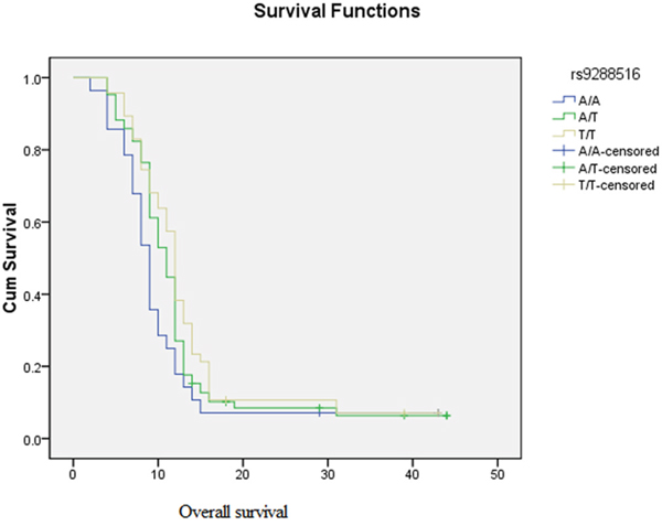 Kaplan&#x2013;Meier analysis of overall survival is shown for different genotypes of rs9288516 of XRCC5.