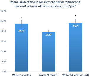The area of the inner mitochondrial membrane per unit of volume of mitochondria in the lacrimal-gland tissue of Wistar rats at ages 3, 24, and 24 months; the latter group received the antioxidant SkQ1 (starting at age 1.5 months at the dose 250 nmol/ [kg body weight] daily).
