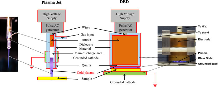 The plasma jet device and dielectric barrier discharge (DBD) device are two main CAP devices used in plasma medicine.