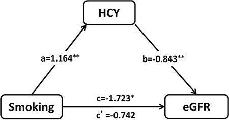 The mediation of homocysteine (HCY) on the association between smoking and deterioration of renal function in hypertensive patients (**P &#x003C; 0.001, *P &#x003C; 0.05).