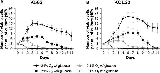Effects of oxygen and/or glucose shortage on CML cell survival and growth.